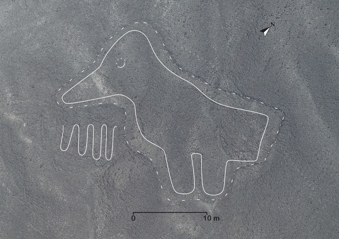 Nhóm chuyên gia Đại học Yamagata cho biết thêm nghiên cứu mới nhất sẽ được sử dụng trong các cuộc khảo sát dựa trên trí tuệ nhân tạo để giúp cung cấp thông tin hỗ trợ công tác bảo tồn.