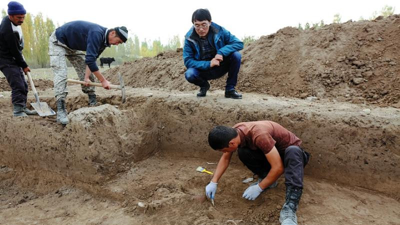 Các chuyên gia tò mò bên trong cỗ quan tài bằng vàng chứa gì. Theo đó, họ đưa đến phòng thí nghiệm và tìm cách mở nắp. Qua kiểm tra, họ xác định, quan tài có niên đại vào thời nhà Đường.