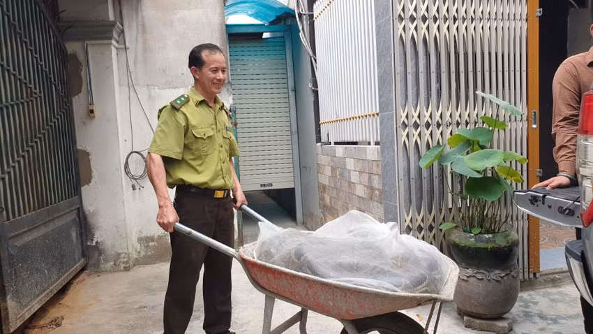 Theo một cán bộ kiểm lâm, cá thể trăn cái mà ông Trần giao nộp là loài trăn đất quý hiếm. Loài trăn này có tên khoa học Python bivittatus.