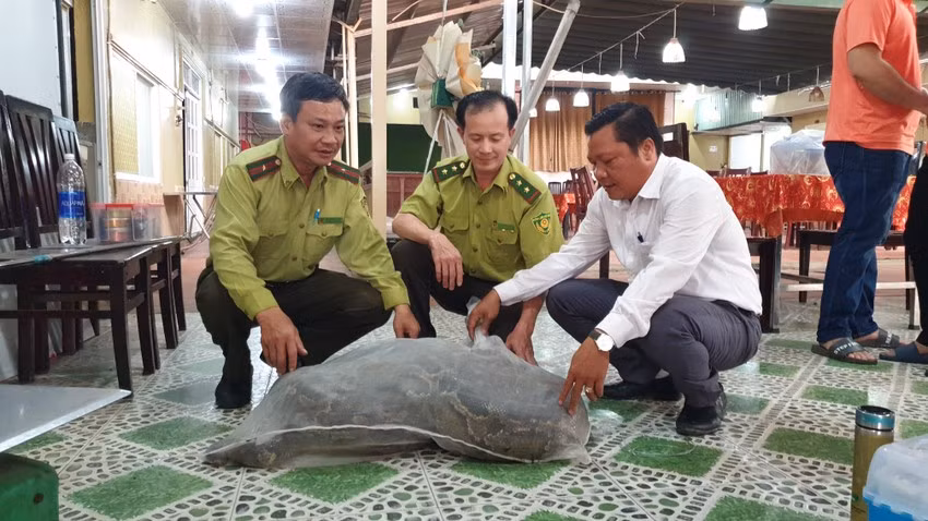 Trăn đất được xếp vào nhóm IIB (động vật rừng nguy cấp, quý hiếm) và nằm trong Sách đỏ động vật Việt Nam.