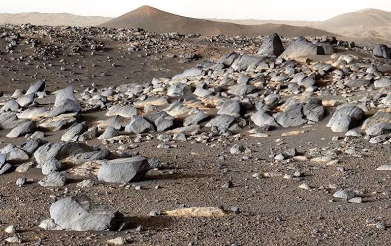 Theo NASA, những tảng đá này được cho là bị nước làm biến đổi hình dạng. Vì vậy, các nhà khoa học tin rằng bề mặt sao Hỏa từng ngập nước. Các mẫu đá trên được một robot bảo quản và sẵn sàng vận chuyển về Trái đất trong thời gian tới để các chuyên gia tiến hành nghiên cứu sâu hơn.