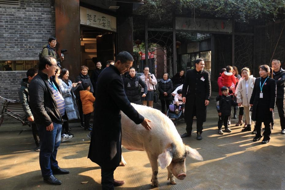 Heo Kien Cuong co nha moi, duoc ham mo cuong nhiet-Hinh-4