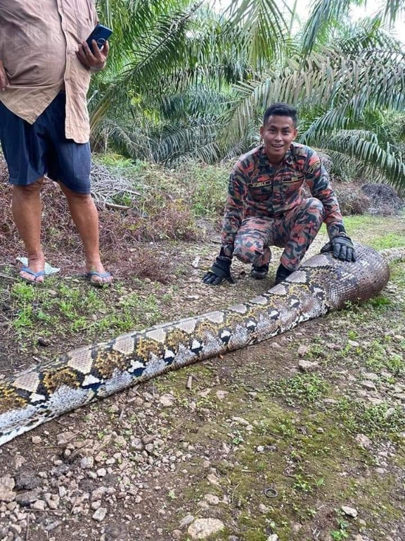 An no phe phon, tran khong lo nam vat giua duong va ket-Hinh-2