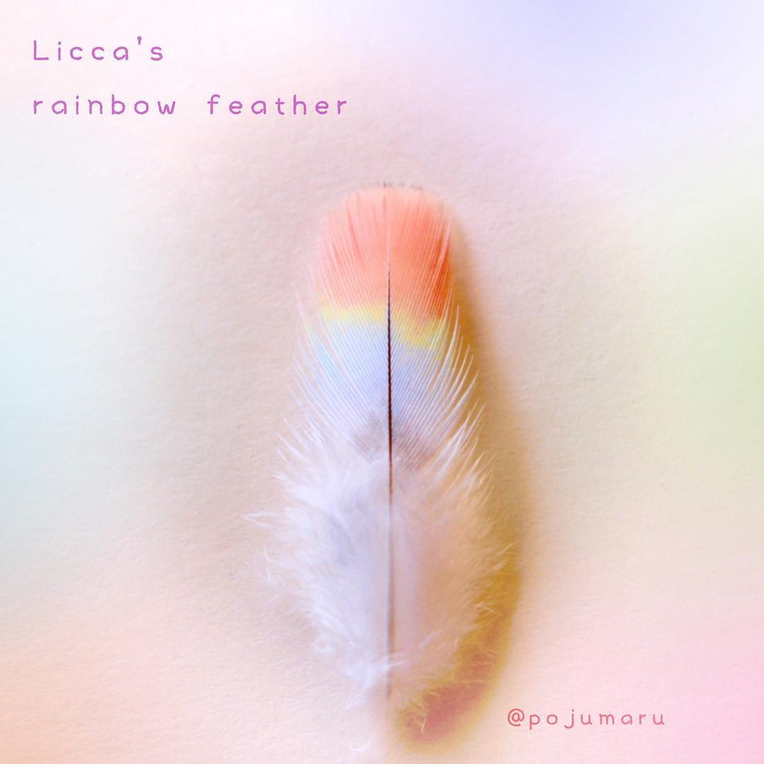 Sự dễ thương của nó về cơ bản là khó loài vẹt nào so bì được.