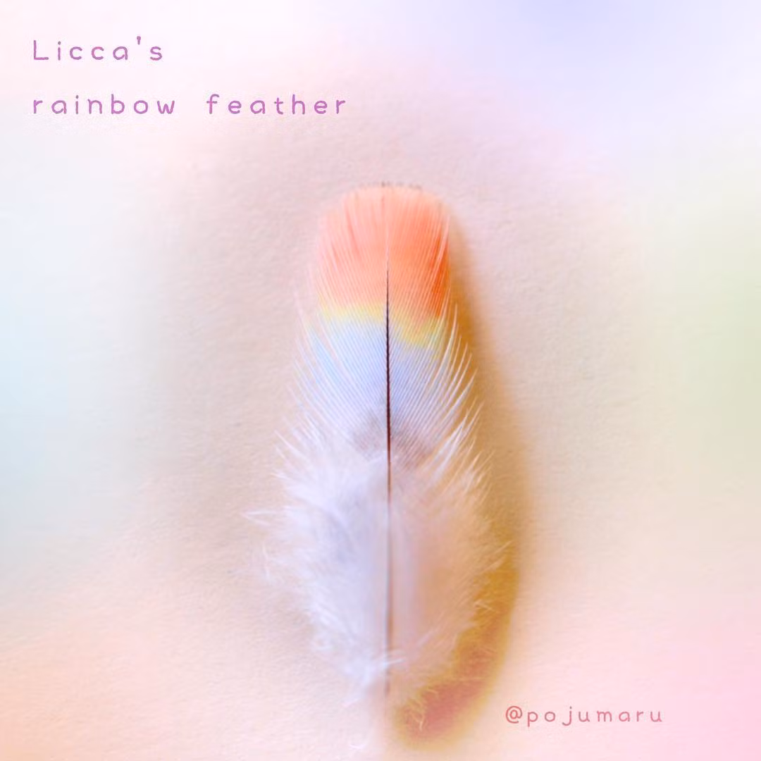 Sự dễ thương của nó về cơ bản là khó loài vẹt nào so bì được.