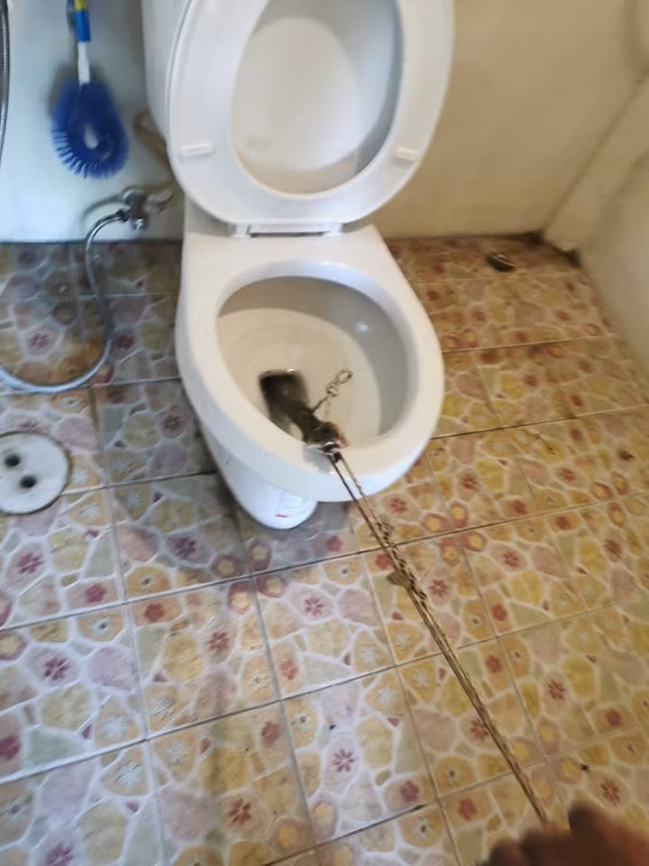 Ngoi bon cau, nguoi dan ong 