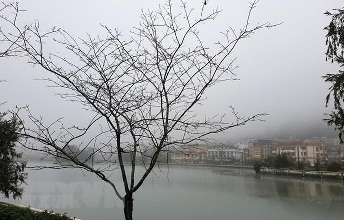 Thoi tiet hom nay: Bac Bo va Bac Trung Bo mua ret, ret dam