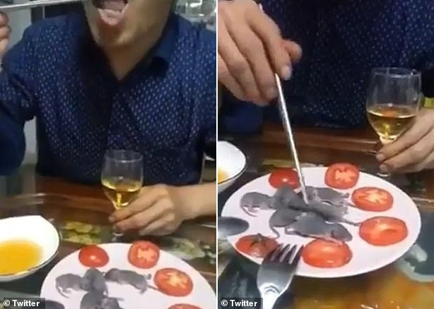 Giua tam bao virus corona, nguoi dan ong TQ van diem nhien an chuot so sinh