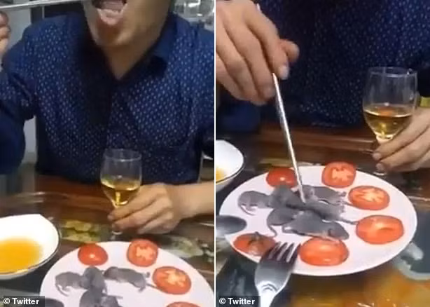 Giua tam bao virus corona, nguoi dan ong TQ van diem nhien an chuot so sinh