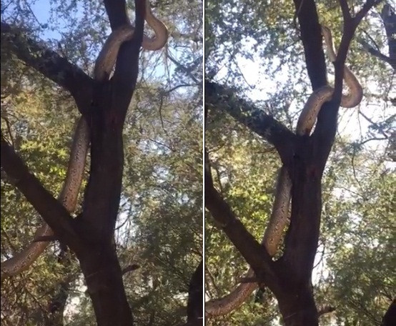 Nghe dong, ngang len thay tran khong lo 