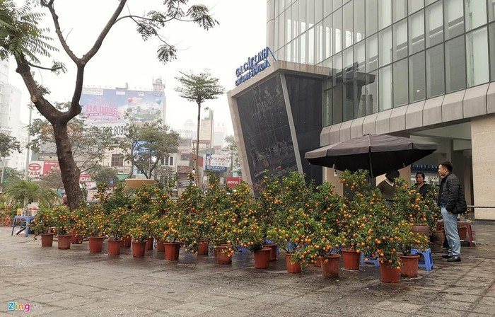 10 ngày trước Tết Nguyên đán Canh Tý, một số tiểu thương sử dụng khuôn viên đường sắt Cát Linh - Hà Đông để bày bán hàng trăm chậu quất cảnh. Với mặt tiền hướng ra ngã 5 Giảng Võ, ga Cát Linh trở thành địa điểm bị lấn chiếm đầu tiên.