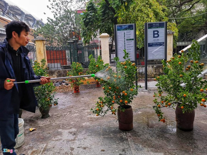 Người đàn ông này kê một chiếc giường tạm bên dưới gầm cầu thang của ga Láng, hàng ngày làm công việc tưới nước cho các chậu cây. Ông cho biết mỗi chậu quất cảnh được bán cho người qua đường với giá 400.000 - 600.000 đồng.