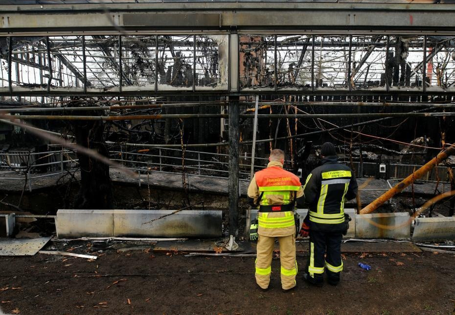 Am anh vuon thu chay, hon 30 dong vat chet tham-Hinh-2