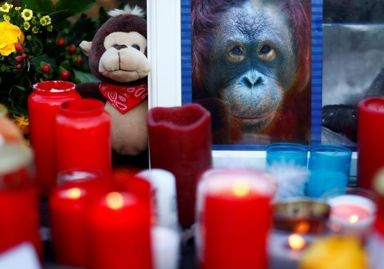 Am anh vuon thu chay, hon 30 dong vat chet tham