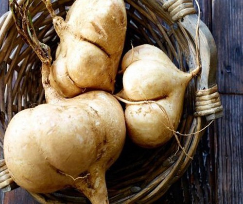 Cu dau: Cuc tot va cuc doc, biet ma tranh khi an keo ruoc hoa vao than