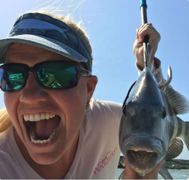 Tuy nhiên, khi có cơ hội tiếp xúc với các loại thịt, pacu tỏ ra khá thích thú, chúng có thể cắn nát mọi thứ và sẵn sàng tấn công con người.