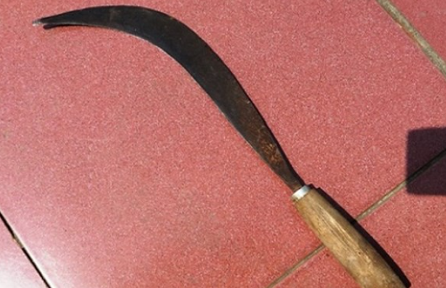 Kết quả khám nghiệm tử thi cho thấy, nạn nhân bị một vết cắt ở cổ gây đứt động mạch chủ dẫn tới tử vong. Ngoài ra, nạn nhân còn bị đứt 2 ngón tay. Điều này cho thấy, nạn nhân có sự giằng co với hung thủ. Hung khí được xác định là chiếc liềm. Các nhân chứng cho biết, thời điểm nạn nhân kêu cứu thì phát hiện một bóng đen chạy vào rừng. Trời tối nên họ không nhận diện được. Nạn nhân được xác định là ông Nguyễn Văn L. (SN 1973). Ngoài mở tiệm sửa chữa điện thoại di động ở quốc lộ 48, ông L. còn mua ô tô để chở khách. (Ảnh minh họa, nguồn internet)