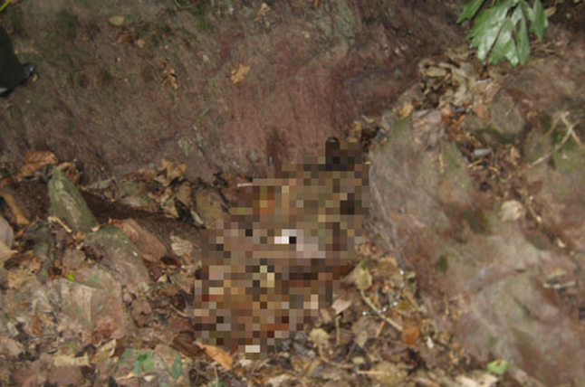 Cho rằng con gái đã gặp nạn, mẹ chị L. gào khóc thảm thiết kêu cứu nhờ giúp đỡ. Sau nhiều giờ tìm kiếm, tới sáng 30/12/2009, mọi người tìm thấy thi thể chị L. bị giấu kín ở một khe suối cạn trong rừng Cóc Cái với rất nhiều thương tích. Tiếp nhận tin báo, công an tỉnh Bắc Giang phối hợp cùng công an huyện Lục Ngạn khẩn trương tiếp cận hiện trường. (Ảnh minh họa, nguồn internet) 