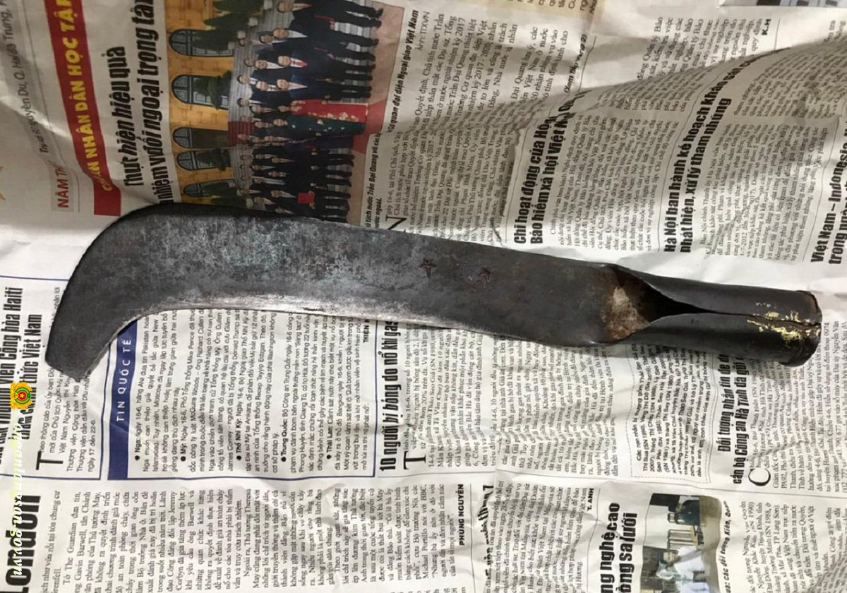 Tại cơ quan điều tra, Hẻo khai nhận, khoảng 7h ngày 29/12/2009, gã dắt trâu vào rừng Mỏ Vọ thuộc xã Hộ Đáp, huyện Lục Ngạn chăn thả. Sau đó, Hẻo đi bộ sang khu rừng Cóc Cái để tìm bắt rắn thì gặp chị Vi Thị L. đang chặt củi. Hẻo hỏi mượn chị L. con dao quắm để chặt đoạn gậy làm dụng cụ bắt rắn. Sau khi chặt được đoạn gậy dài khoảng 90cm, Hẻo thấy khu rừng vắng vẻ, không có người qua lại nên đã nảy sinh ý đồ đồi bại. (Ảnh minh họa, nguồn internet) 