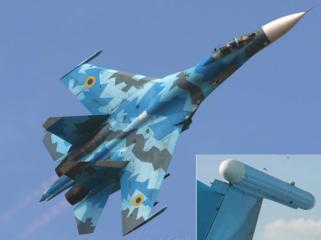 Theo thông tin được Nga công khai, trên dòng chiến đấu cơ Flanker được Nga xuất khẩu thường đi kèm trang bị pod gây nhiễu L-203 Gardenia. Khí tài có hình dạng một quả ngư lôi nhỏ gắn ở đầu cánh giúp máy bay đối phó với vũ khí tấn công của đối thủ. Chúng có tác dụng gây nhiễu sóng radar từ máy bay, tên lửa, hay các thiết bị trinh sát khác của đối phương.