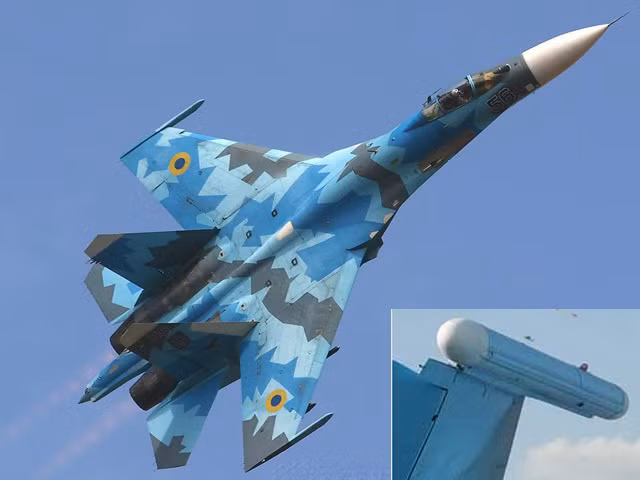 Theo thông tin được Nga công khai, trên dòng chiến đấu cơ Flanker được Nga xuất khẩu thường đi kèm trang bị pod gây nhiễu L-203 Gardenia. Khí tài có hình dạng một quả ngư lôi nhỏ gắn ở đầu cánh giúp máy bay đối phó với vũ khí tấn công của đối thủ. Chúng có tác dụng gây nhiễu sóng radar từ máy bay, tên lửa, hay các thiết bị trinh sát khác của đối phương.