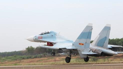 Khi phải đương đầu với tên lửa, hệ thống L-203 Gardenia do Viện Nghiên cứu Khoa học và Công nghệ Radio (Moscow) thiết kế sẽ được kích hoạt và che chở máy bay thông qua hàng rào điện tử, nhằm ngăn chặn tên lửa và làm cho nó đi chệch hướng, tăng khả năng sống sót của chiến đấu cơ được trang bị lên tới vài lần.