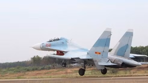 Khi phải đương đầu với tên lửa, hệ thống L-203 Gardenia do Viện Nghiên cứu Khoa học và Công nghệ Radio (Moscow) thiết kế sẽ được kích hoạt và che chở máy bay thông qua hàng rào điện tử, nhằm ngăn chặn tên lửa và làm cho nó đi chệch hướng, tăng khả năng sống sót của chiến đấu cơ được trang bị lên tới vài lần.