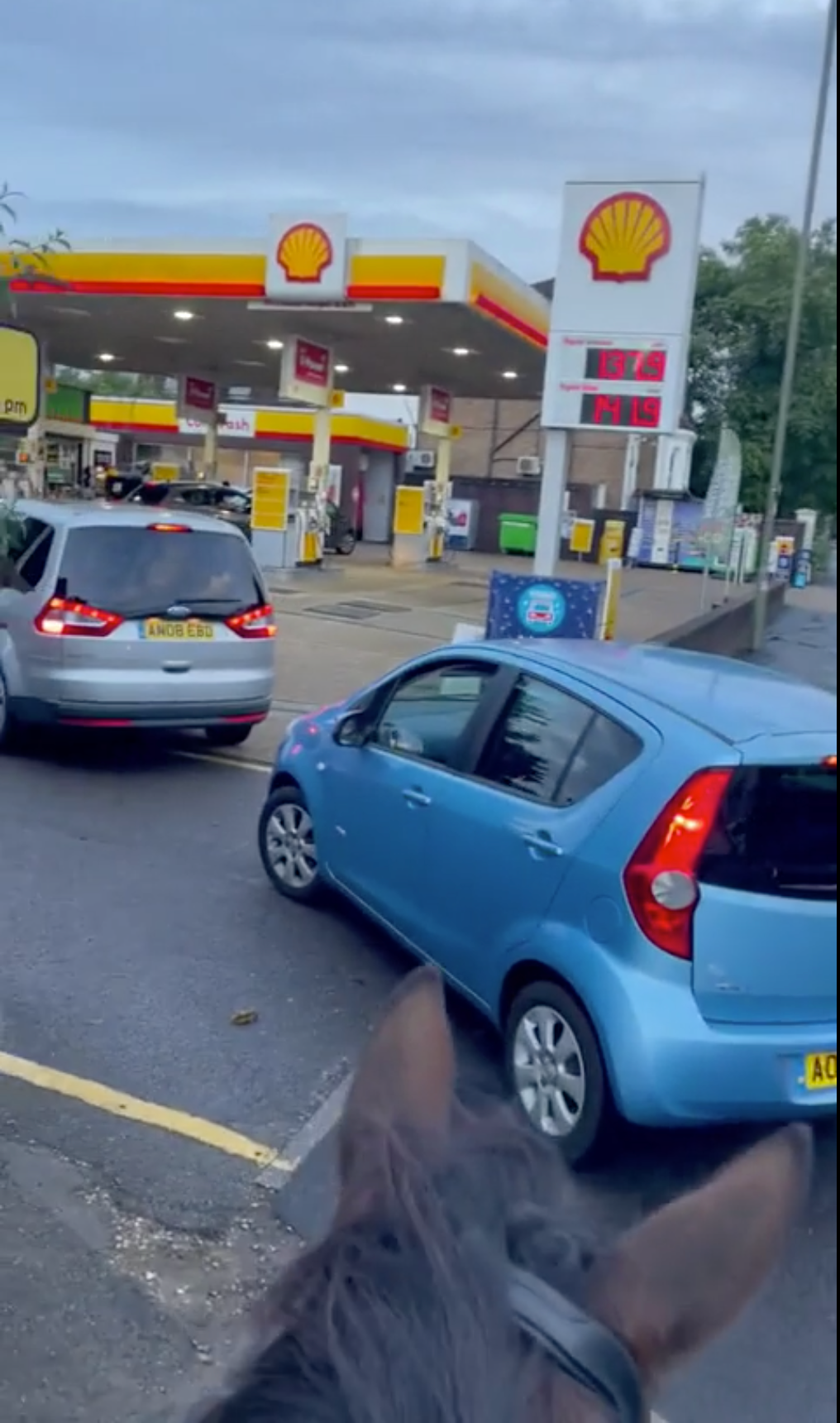 Khung hoang thieu xang: nguoi Anh quay lai dung… ngua