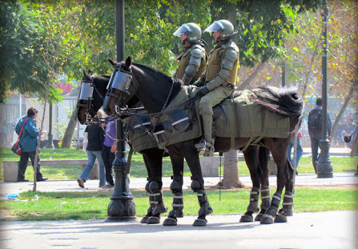 Lực lượng kỵ binh của cảnh sát Anh được sử dụng để kiểm soát đám đông, tuần tra và tham gia các nghi lễ của Hoàng gia, sự kiện của công chúng.