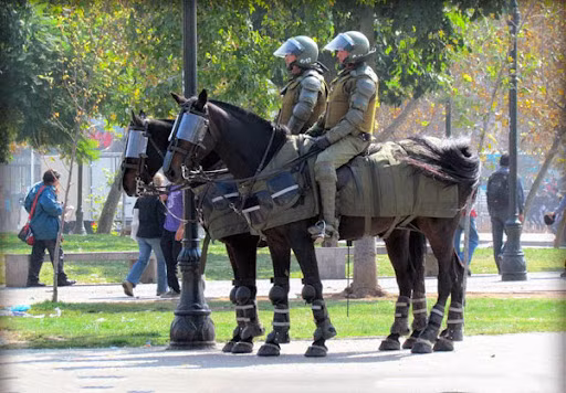 Lực lượng kỵ binh của cảnh sát Anh được sử dụng để kiểm soát đám đông, tuần tra và tham gia các nghi lễ của Hoàng gia, sự kiện của công chúng.