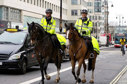 Không chỉ ở Anh, còn nhiều quốc gia khác sở hữu lực lượng kỵ binh tinh nhuệ như Mỹ, Mexico. Cảnh sát Việt Nam cũng có lực lượng kỵ binh tuy nhiên không thường xuyên được sử dụng. Nguồn ảnh: Dailymail.