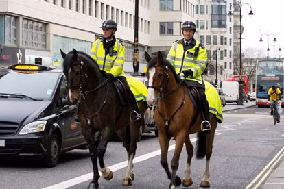 Không chỉ ở Anh, còn nhiều quốc gia khác sở hữu lực lượng kỵ binh tinh nhuệ như Mỹ, Mexico. Cảnh sát Việt Nam cũng có lực lượng kỵ binh tuy nhiên không thường xuyên được sử dụng. Nguồn ảnh: Dailymail.