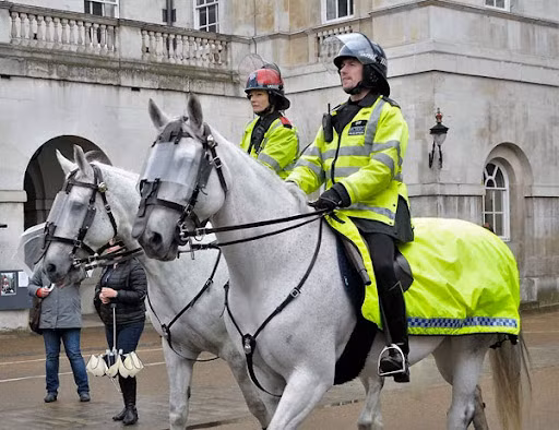 Chính phủ Anh sẽ huy động gần 200 binh sĩ lái xe bồn để giải quyết vụ khủng hoảng liên quan đến cung ứng nhiên liệu. Bên cạnh đó, nước này cũng sẽ gia hạn chương trình cấp thị thực khẩn cấp cho các tài xế xe tải nước ngoài.