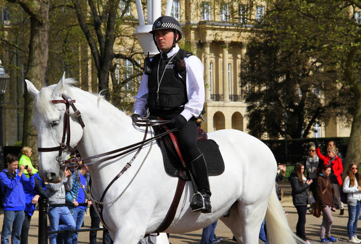 Mặc dù vậy, để giải quyết khó khăn trước mắt, nhiều người dân Anh - đặc biệt là những người sống ở vùng đồng quê, đã quay trở lại với phương tiện truyền thống - đó là ngựa - một loại phương tiện rất lâu đời và quen thuộc với người dân cũng như nhà chức trách Anh.