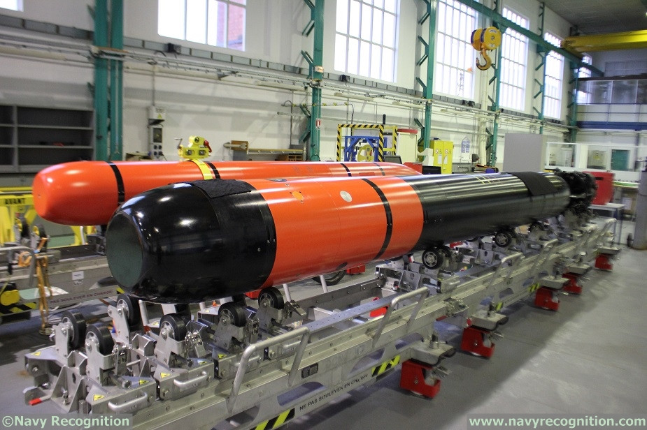 Ngư lôi này có động cơ chạy hoàn toàn bằng điện sử dụng công nghệ pin mới nhất. Con tàu cũng sẽ có thể mang tên lửa chống hạm SM-39 Exocet và tên lửa hành trình MdCN (Missile De Croisière Naval) mới.