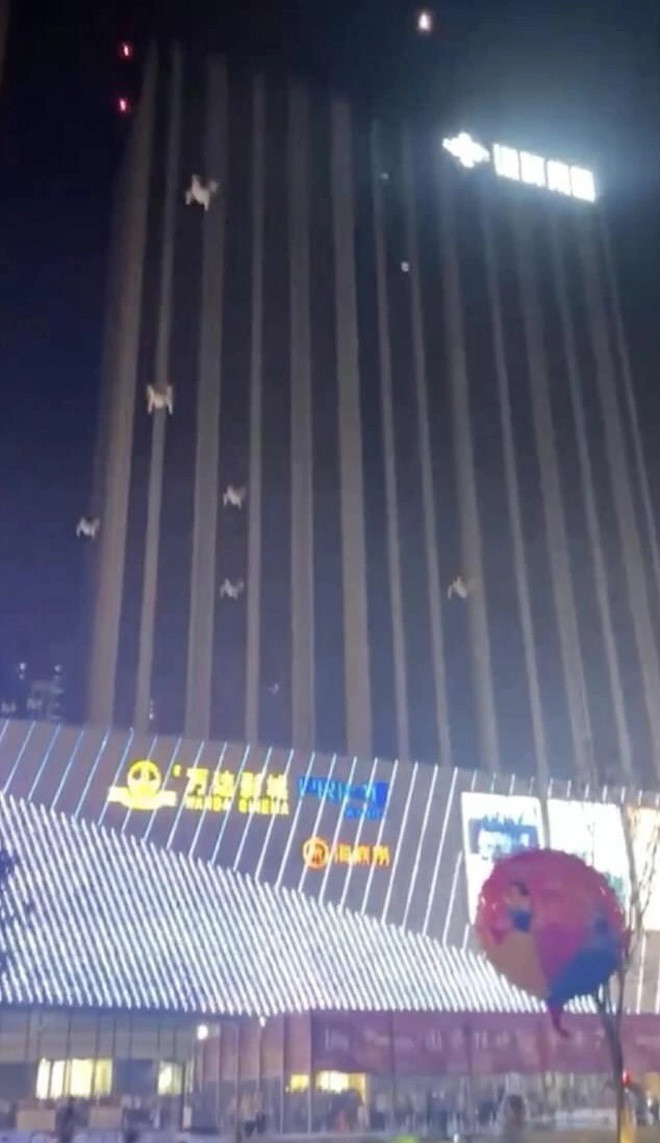 Tuy nhiên, khi đang bay lượn trên bầu trời thì hàng loạt máy bay điều khiển từ xa đã rơi như mưa xuống khiến đám đông hoảng loạn. Một số nhân chứng cho biết, có một số UAV phóng đi xa, số còn lại rơi vào các tán cây hoặc lao xuống đất.