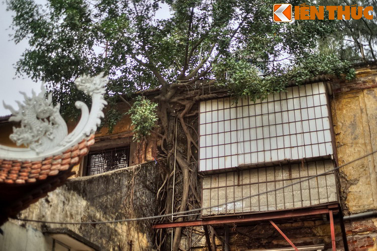 Khi thực dân Pháp đặt ách cai trị ở Hà Nội, chúng đã dựng trường thông ngôn (phiên dịch) bên cạnh đình An Trí. Sau trường này giải tán, nhường chỗ cho học trò tiểu học, và dân chúng quen gọi là trường Yên Phụ tuy không nằm trên đất làng Yên Phụ…