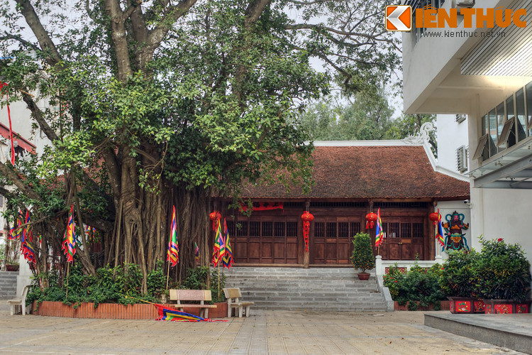 Thần tích kể rằng Uy Đô là con Vua Trần Thánh Tông và hoàng hậu Minh Đức. Chàng là hậu thân của Uy Linh Lang - tên gọi chung trăm người con của Lạc Long Quân.