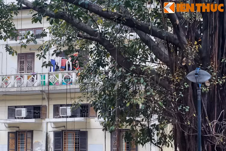 Khi Hiệp định Paris đuợc ký kết, hòa bình lập lại ở miền Bắc năm 1973, các bộ phận ở nơi sơ tán của Bệnh viện Bạch Mai mới chuyển tất cả phương tiện, máy móc trở về Hà Nội, từng bước ổn định hoạt động. Năm 1974, Bệnh viện được sửa chữa và xây dựng lại.