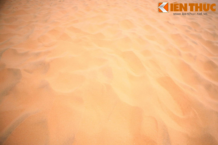 Màu sắc của cát thay đổi tùy theo khu vực, phổ biến nhất là màu vàng cam, ngoài ra còn màu trắng ngà, trắng xám, màu phớt hồng...