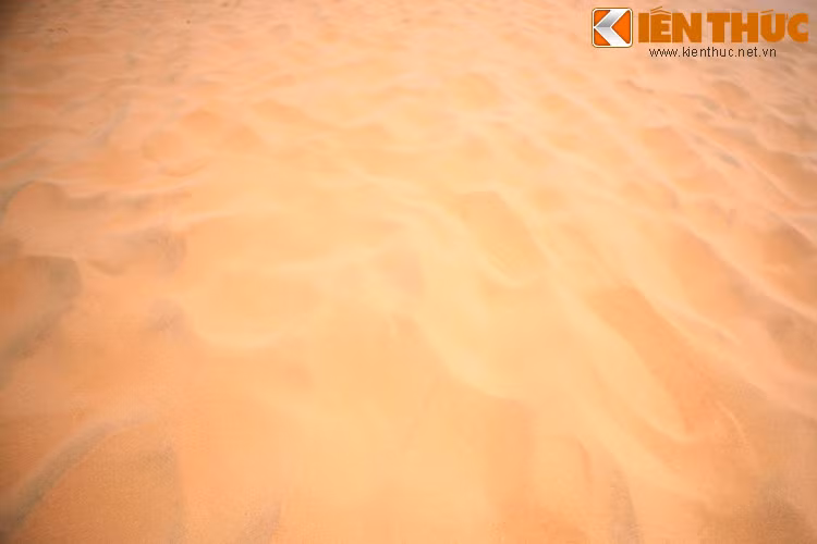 Màu sắc của cát thay đổi tùy theo khu vực, phổ biến nhất là màu vàng cam, ngoài ra còn màu trắng ngà, trắng xám, màu phớt hồng...