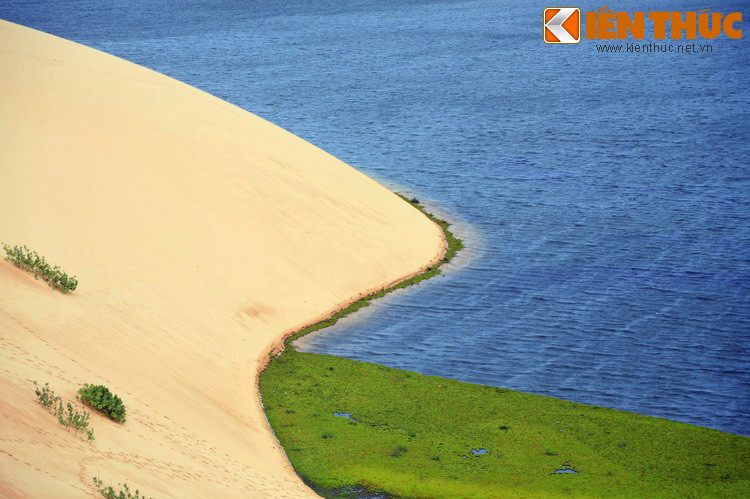 ...Hay hồ nước ngọt an lành, xanh ngắt (hồ Bàu Trắng), đầy vẻ đối lập với sắc màu khô cằn của cát.