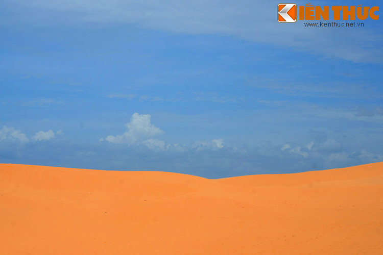 Đây là vùng địa hình đặc biệt gồm những cồn cát khổng lồ, trải dài nhiêu cây số từ tỉnh Bình Thuận đến Ninh Thuận, tập trung nhiều nhất ở khu vực Mũi Né của Bình Thuận.