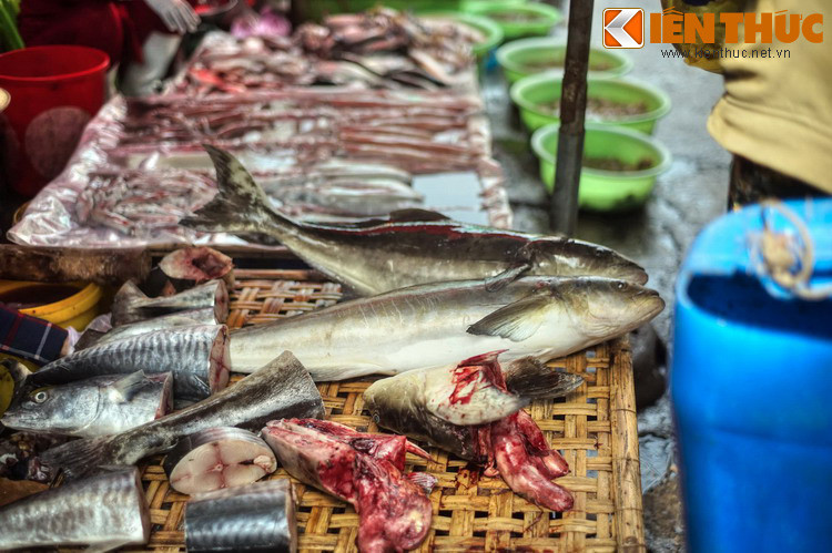 Chợ được xây mới và khánh thành vào năm 2015, với tổng diện tích sử dụng 13.000 m2, có 1.216 quầy và 137 ki-ốt xung quanh khuôn viên. Dù mang diện mạo hiện đại, khung cảnh nhộn nhịp và những nét văn hóa đặc trưng của chợ Phan Thiết vẫn được gìn giữ.