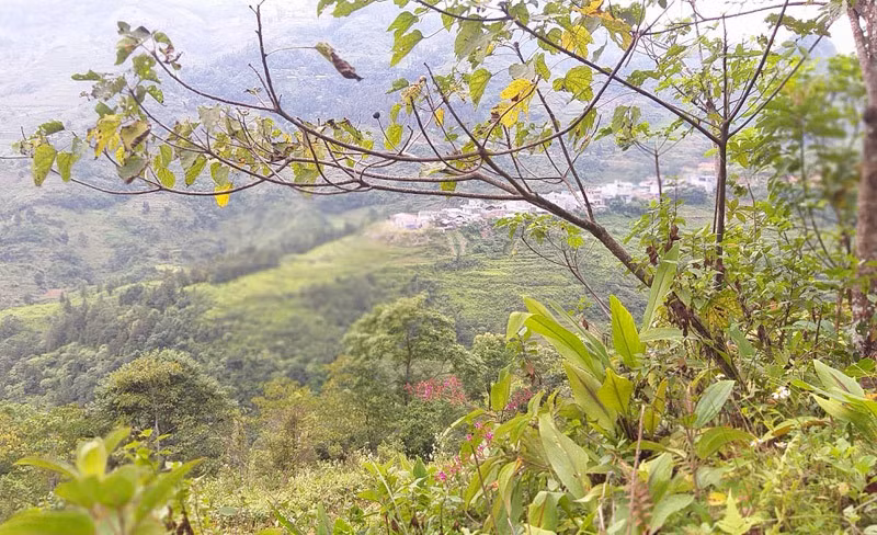 Am anh su ghe lanh cua nha noi khi co me ngoai tinh