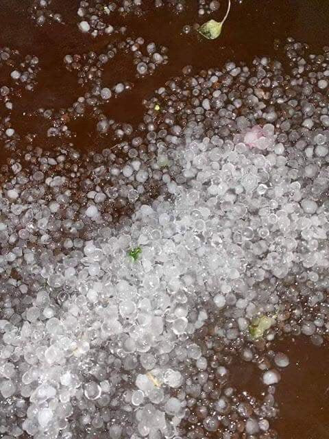 Cơn mưa đá khiến cho người dân nơi đây khá bất ngờ. (Ảnh NDCC).