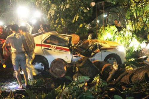 5. Cây đổ đè ngang xe taxi, tài xế tử vong tại chỗ Khoảng 19h30 tối 4/6/2014, tại đường Hùng Vương (đoạn qua vườn hoa Mai Xuân Thưởng, Q. Ba Đình, Hà Nội) chiếc xe taxi gắn logo của hãng Group mang BKS 29A-97324 đang di chuyển trên đường bất ngờ bị một cây xà cừ lớn đè ngang qua hàng ghế đầu khiến tài xế tử vong tại chỗ. Một nữ hành khách ngồi sau xe may mắn thoát nạn. 