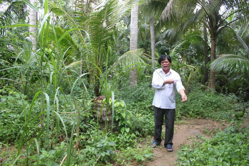 10 vu an oan chan dong du luan Viet Nam-Hinh-5