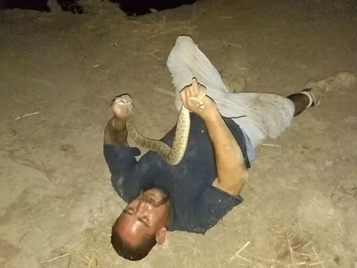 Choi dai dinh nuong ran doc tren bep va ket rung minh-Hinh-2