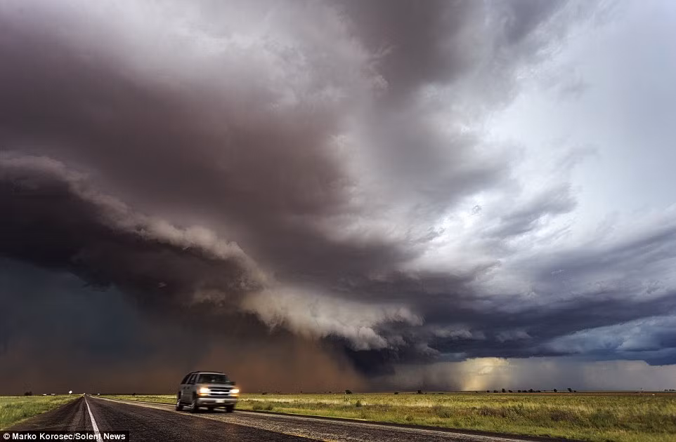 Marko trên đường đi săn những cơn bão tử thần.